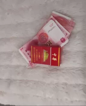 沈阳南方来的蛋蛋后双马尾妹妹