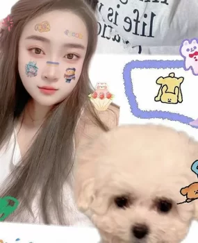 站前区丰满大胸漂亮少妇